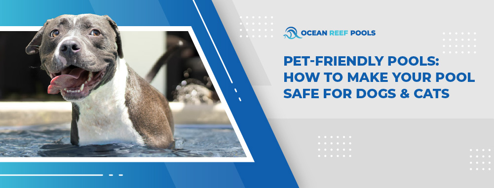 Pet-Friendly Pools - How To Make Your Pool -Safe For Dogs & Cats - Banner